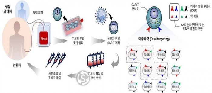 CAR-T 세포치료제 제작 과정 모식도.jpg
