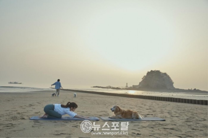 꽃지해수욕장 우수해수욕장 선정 2(도가, dog yoga).jpg