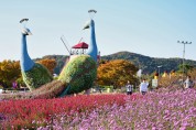 ‘태안 가을꽃박람회’15일 꽃지해안공원서 개막