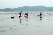 태안군, 마금리 ‘패류어장 재생 시범 사업’ 추진