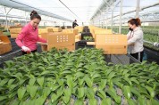 태안군,시설원예·화훼 농가에 13억여 원 지원