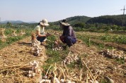 태안군, 출산여성 농가도우미 지원 ‘호응’