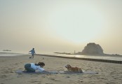 태안꽃지해변,2년 연속 전국우수해수욕장선정